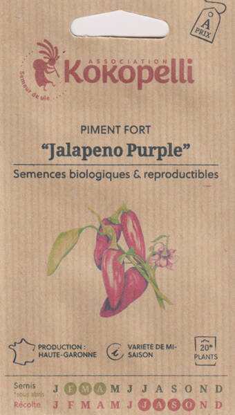 Het peppar "Jalapeno Purple" (Chilipeppar)